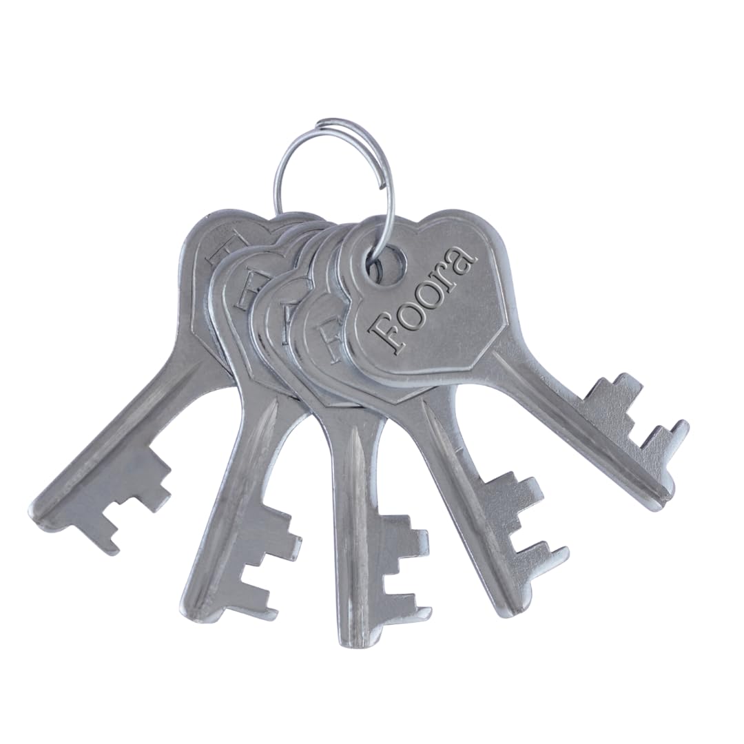 Foora Small Lock and Keys, Long Neck Shackle Door Lock for Home, Shop Same Key for Multiple Lock, 2 Padlock 5 Same Key Lock Set, Common Key Lock Set of 2 Silver Finish 2