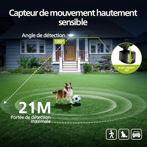 Lampe LED 24W Philips Sécurité avec détecteur de mouvement extérieur