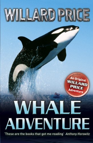 Whale Adventure view 2