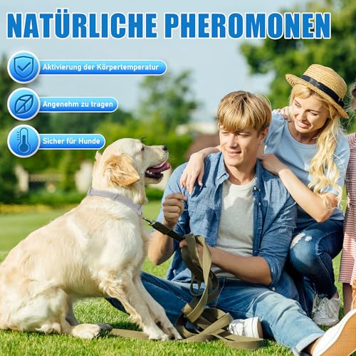 Yineaae 6 Stück Beruhigungsmittel Calm Halsbänder für Hunde mit Pheromon, Beruhigung Hund Hilft Unerwünschtes Verhalten zu Reduzieren, Stressabbau, Hält 120 Tage, Flexibel Einstellbar für Alle Hund