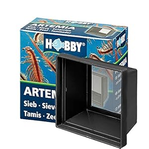 Hobby 21620 Arte Mia colino