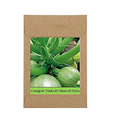VibeX Guarenteed Germination Round Zucchini Seeds-50 Seeds (B0B9Y4PSP8) Amazon Price History, Amazon Price Tracker