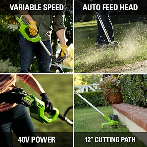 Image of Greenworks 40V 20 inch Cordless Pole Hedge Trimmer and 40V 12 inch String Trimmer, (1) 2.0Ah Battery and Charger Included