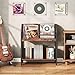 CHOEZON 2-Tier Vinyl Record Storage Holder Rack, 250 LP Albums Display Shelf, Wooden Vinyl Storage Rack with Wire Dividers for Records, CDs, Books, Rustic Brown and Black TCW07BF