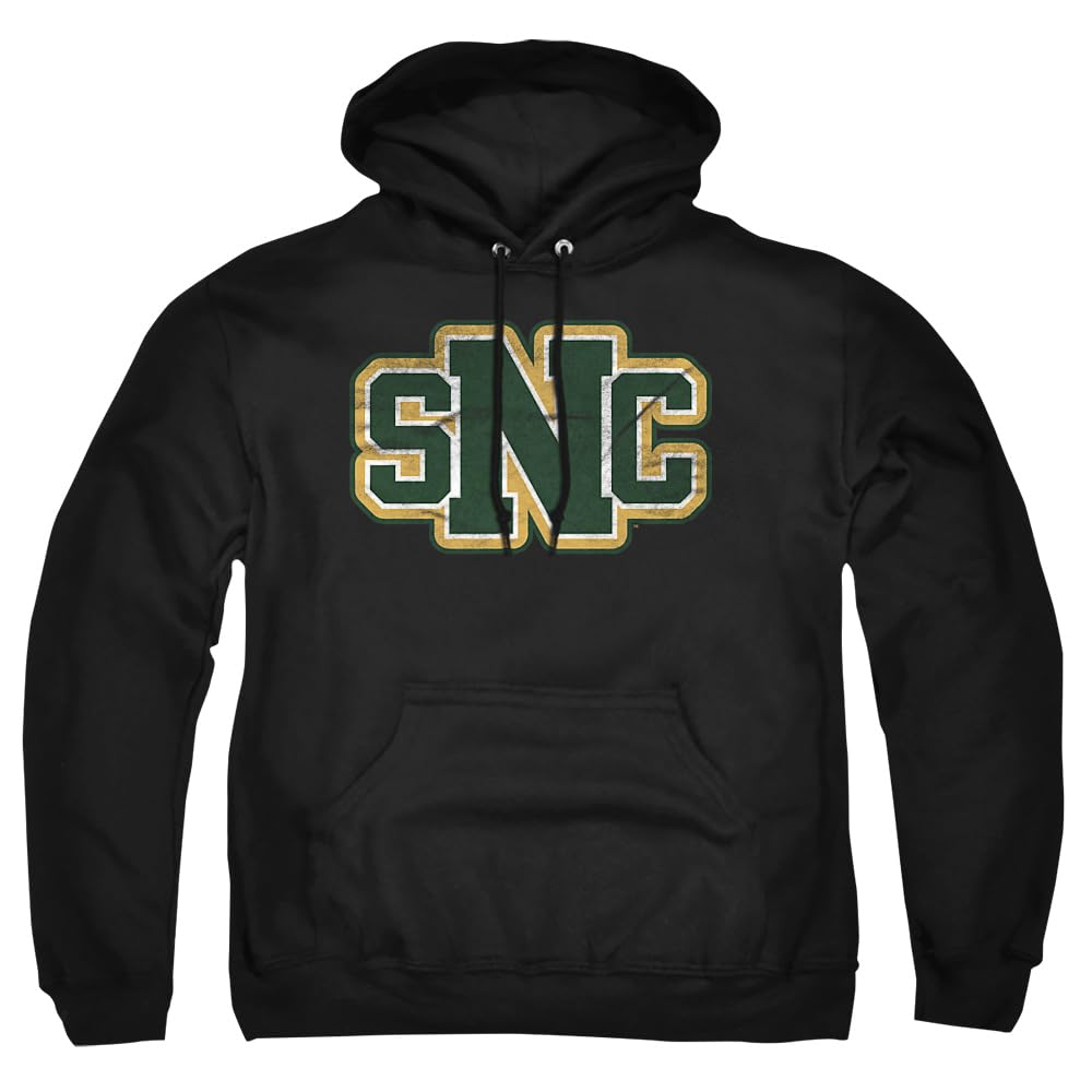 LOGOVISION Official Collegiate Distressed Primary Logo Adult Pullover Hoodie Collection — view 230