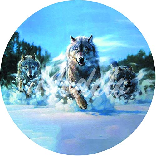 Capa Personalizada para Estepe Ecosport Crossfox Aircross Lobos na Neve CN1076 - Lorben