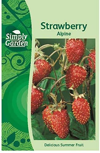 Strawberry Alpine Fresh Fruit Seeds Grow Your Own Garden