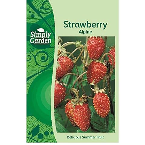 Simply Garden Strawberry Alpine Fresh Fruit Seeds Cover