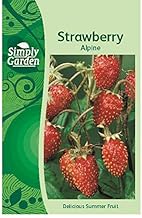 Strawberry Alpine Fresh Fruit Seeds Grow Your Own Garden