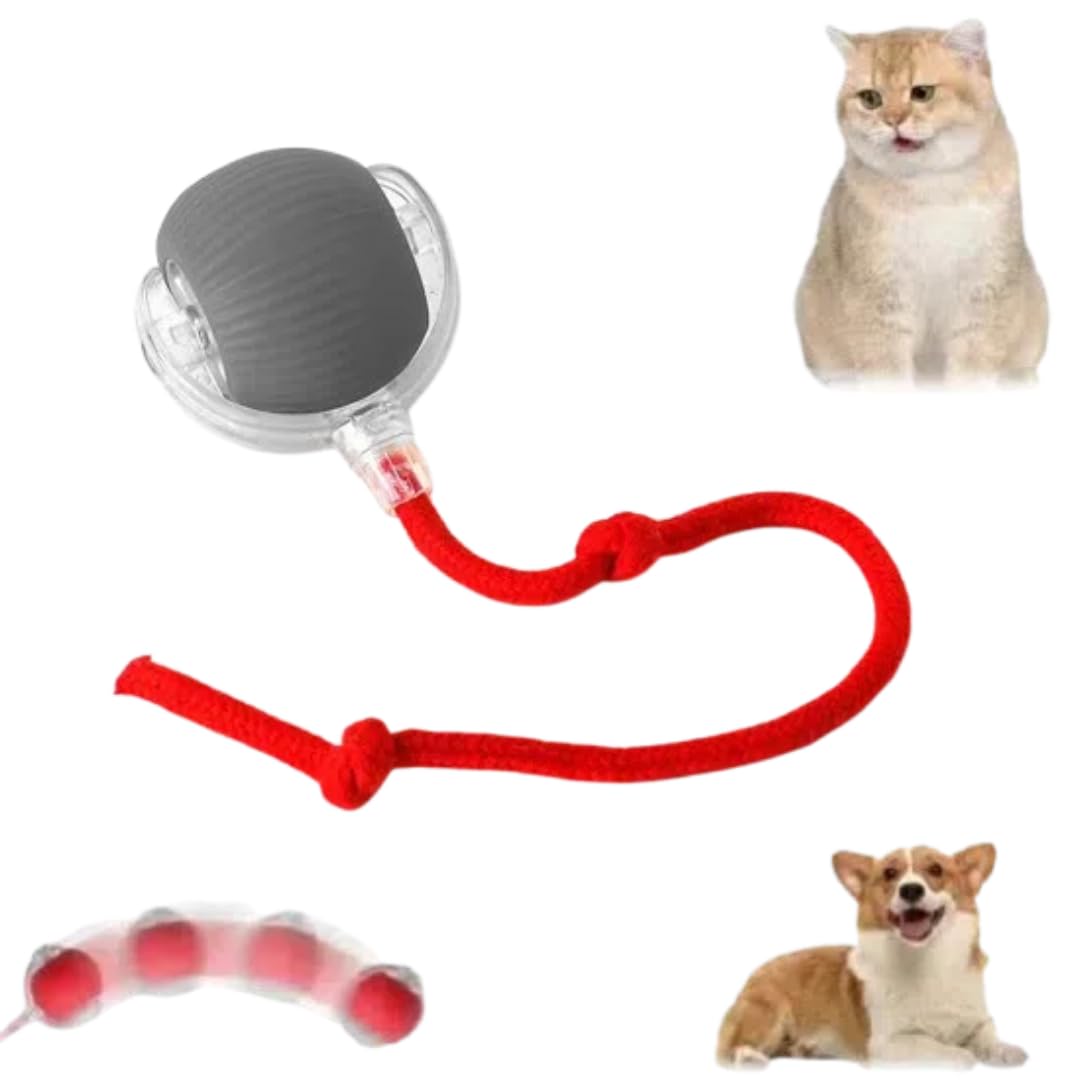 QITELL Interactive Cat Toy 2025 New Cat Toys for Indoor Cats, Kitten Toys for Bored Indoor Cats/Dogs (Gray)