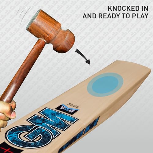 Image of GM Diamond Player Edition (Ben Stokes) 2024 English Willow Cricket Bat (Made in U.K), Size - Mens.