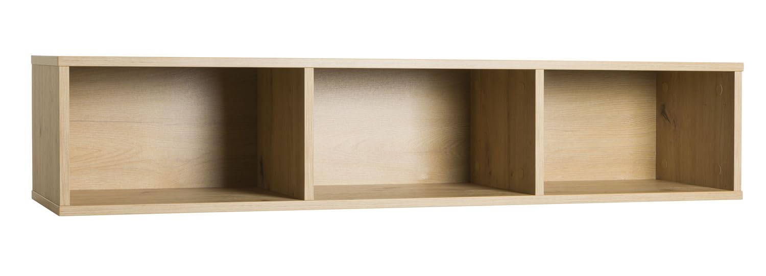  Composad MUNDI Line Wall Unit Modern and Elegant Perfetto per Stanze di VivaceTek
| Composad MUNDI Line Wall Unit Honey