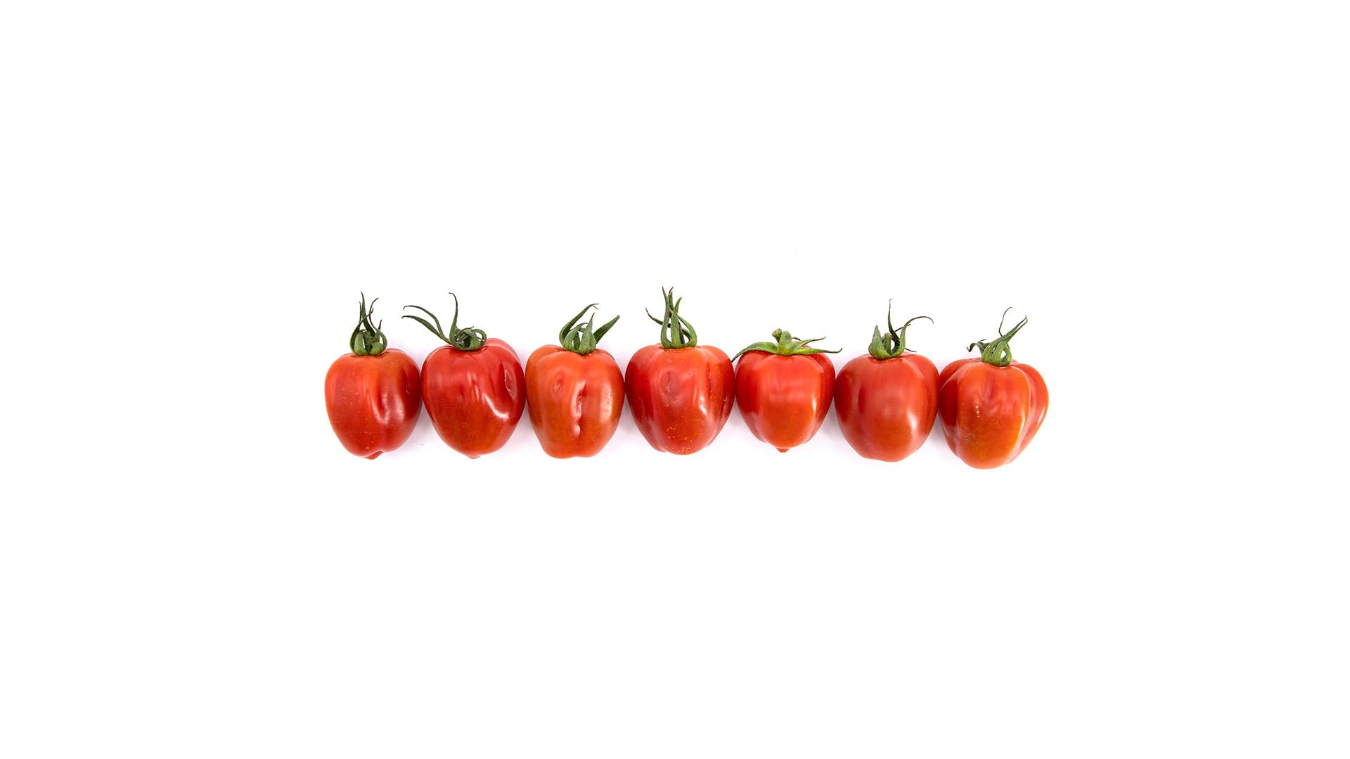 Tomate fresco Wabi-Sabi 0,85kg Origen España Andalucía Costa Tropical Cooperativa Granada La Palma