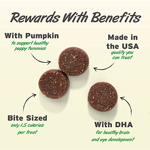 Pet-Botanics-Training-Rewards-Mini-Puppy-Bites-Low-Calorie-Soft-Chewy-Dog-Treats-with-DHA-Peanut-Butter-4-oz-Pack-of-1