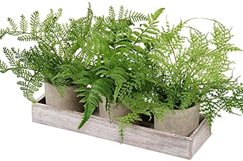 plants 3 Pack Mini Potted Fake Artificial Small Boston Ferns with Wooden Planter Box for Tabletop Mantel Home Decor