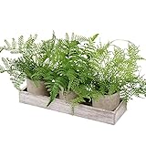 plants 3 Pack Mini Potted Fake Artificial Small Boston Ferns with Wooden Planter Box for Tabletop Ma