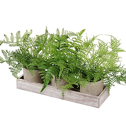 Plants 3 Pack Mini Potted Fake Artificial Small Boston Ferns With Wooden Planter Box For Tabletop Mantel Home Decor #TOP1