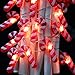 Impress Life Holiday Candy Cane String Lights, 10ft 20 LED 3D Plus Twinkle Lights, USB & Battery-Powered with 8 Flicker Modes Remote for Bedroom, Porch, Wedding, Birthday, St. Nikolas Day, Christmas