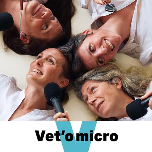 Vet'o micro cover art