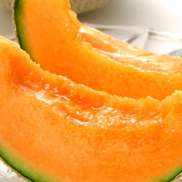 北のデリシャス 山形県産 庄内メロン 赤肉 (秀品/1玉 1.5kg/常温品) 庄内砂丘 赤肉 アンデスメロン お中元 ギフト 贈り物 お祝い プレゼント 果物 フルーツ お取り寄せ