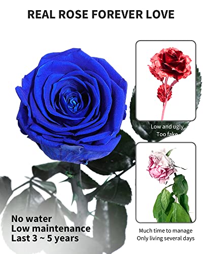 Image of Blue Flowers for Delivery Prime, Preserved Blue Roses Flower Gifts for Women, Real Roses Single Rose Gifts for Her, Mom Birthday Gifts from Daughter, Valentines Flowers