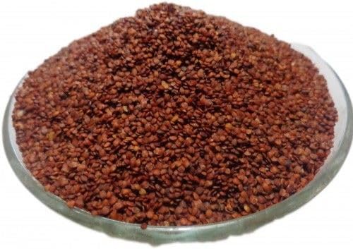 Lajwanti Seeds,Lajwanti Beej,Chui-Mui,Mimosa Pudica,Lajjalu,Senstive Seed(50GM) Seed (50 g)-image-42