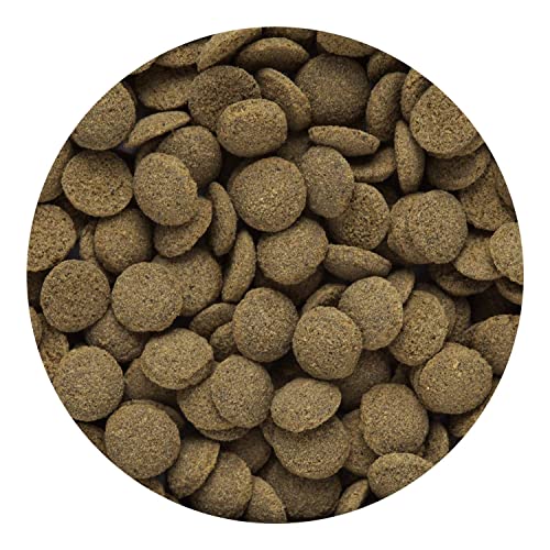 Image of Sinking Wafers 50g for Corydoras Catfish & Loaches | MECOMMERCE | Bottom Feeders, Soft Wafer, With Spirulina, Krill Meal and Silkworm