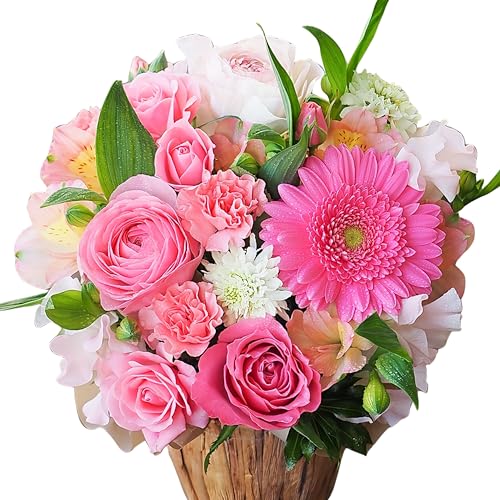 i`oXPbg̃t[AWg AWgt[ AWg Mtg   v[g  tbVt[ a LO j JXj җ ̓ ybg  (sN, M)