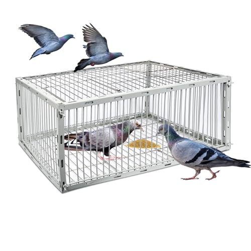 Pigeon Trap Cage with Escape-Proof Design – Auto Bird Trap