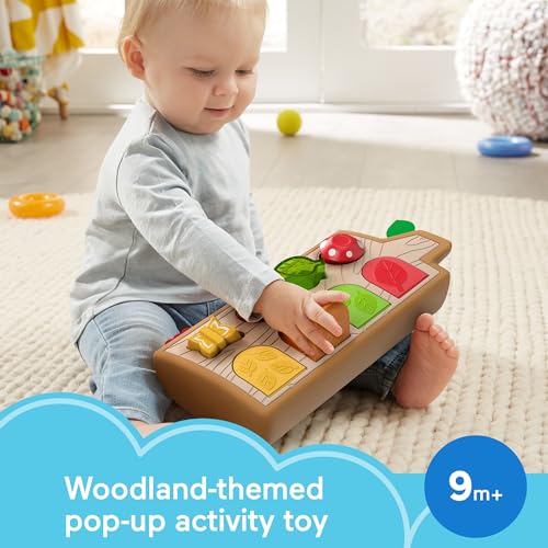 image for Fisher-Price Baby Toy Hide & Peek Pop-Up Animal-Themed Sensory Activit