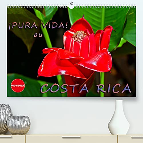 ¡Pura Vida! au Costa Rica (Premium, hochwertiger DIN A2 Wandkalender 2022, Kunstdruck in Hochglanz): Costa Rica - un pays merveilleux avec une nature magnifique (Calendrier anniversaire, 14 Pages )