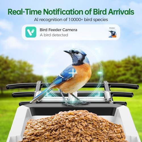 Bird Feeder with Camera - 2K HD Live View, AI Identification & Instant Alerts, Weatherproof for Outdoors, 2.4GHz WiFi Solar Powered Smart Feeder for Bird Lovers