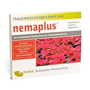 nemaplus® SF Nematoden ter bestrijding van rouwmuggen – 3 miljoen voor 6 m² potgrond of 30 planten