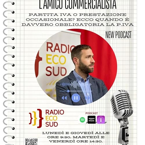 L'amico commercialista 27 puntata