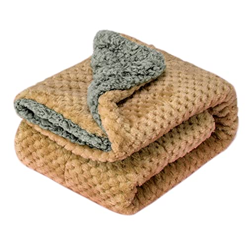 Image of Fuzzy Blanket or Fluffy Blanket for Baby Girl or boy, Soft Warm Cozy Coral Fleece Toddler, Infant or Newborn Receiving Blanket for Crib, Stroller, Travel, Outdoor, Decorative (32" x 40", DG-Mocha)