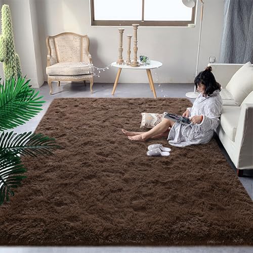 DweIke Fluffy Brown Rugs for Bedroom Living Room, 3x5 Feet