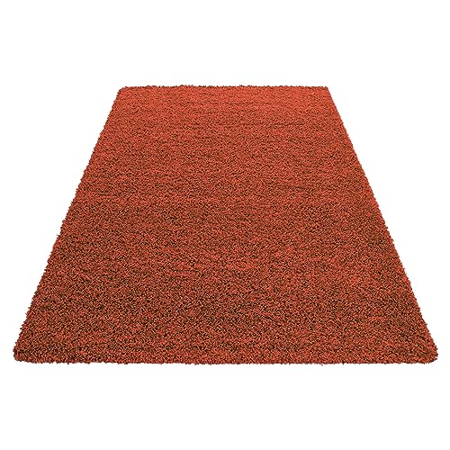 Stilvoll Günstig by ELMM Alfombra para salón, dormitorio, terracota, 60 x 110 cm, color liso, pelo largo