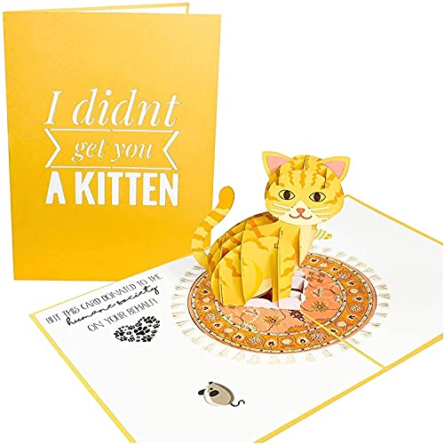 Poplife Gatito Gracioso Pop Up Tarjeta   Tarjeta de Amante de los Gatos Para Todas las Ocasiones, Día de la Madre, Dia del Padre, Regalo Veterinario   Feliz Cumpleaños, Simplemente Porque, Mejórate