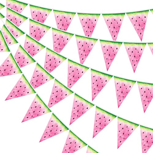 Image of Gersoniel 5 Pcs Pink Watermelon Party Decorations Pennant Banner