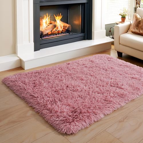 KING DARE Small Shag Rug 2x3 for Bedroom, Soft Fuzzy Bedside Throw Area Rug for Living Room Dorm, Non Slip Plush Carpet Modern Home Decor Aesthetic for Entrance Nursery Kids Room, Blush