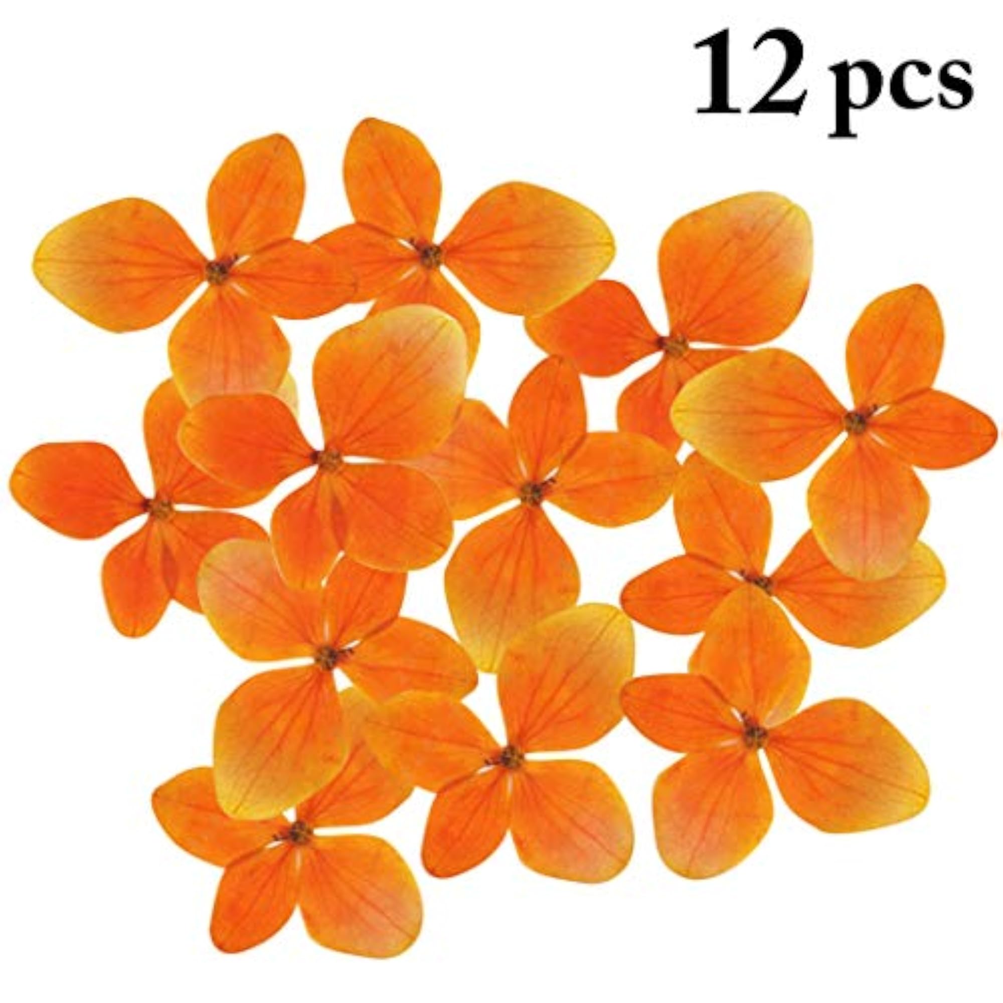 Pressed Flowers Hydrangea for Makeup and Crafts