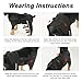WACOI Dog Knee Brace for Torn ACL Hind Leg, Dog Leg Braces for Back Leg, Adjustable Leg Support for Large and Small Dogs with ACL, CCL, Cruciate Ligament Injuries M