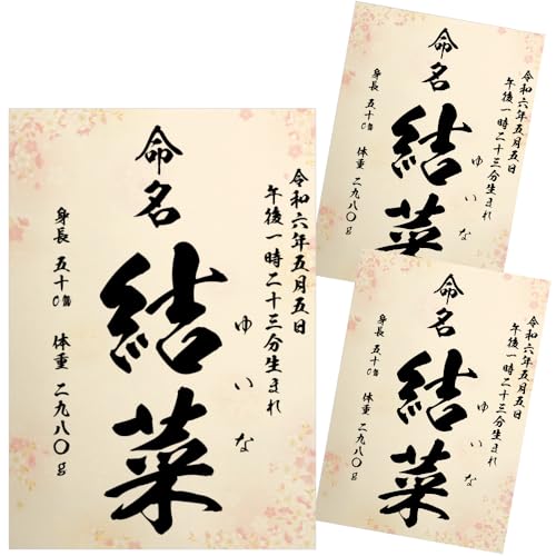  畿 ѕM Ƃ̑ccɂ AV[gt I[_[  j̎qp ̎qp  A4 ~l[g N ̏d g ڏȗ (3Zbg)