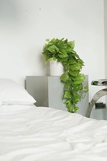 Retrograde 32" Realistic Light Green Fake Pothos Ivy Plant - Large Silk Artificial Hanging Plant for Indoor Home Office Decor