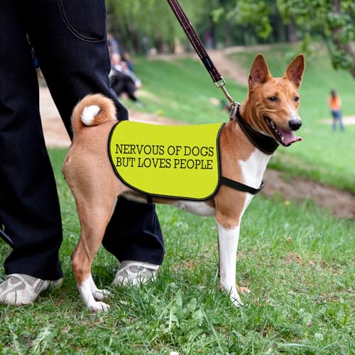 Funny Nervous Dog Jacket - Vest for Nervous Dogs Loving People - Large, Loves People-Large - Image 3