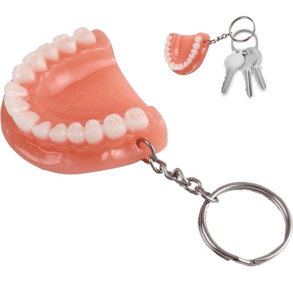 Hrippy As Show Simulation Teeth Keychain Fake Teeth Denture Keyrings Funny Tooth Keychains Hanging Ornament For Bag Car Decors Dentist Dental Gift