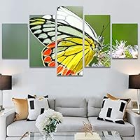 SIGNWIN 5 Panel Canvas Wall Art Birds Butterfly Closeup Colorful Contemporary Home Office Modern Art Multicolor Photography for Home Decorations Ready to Hang - 60
