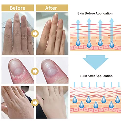 image for DBEAUTYM 10 Pack Hand Cream Gifts Set-Travel Size Lotion for Women,Sce