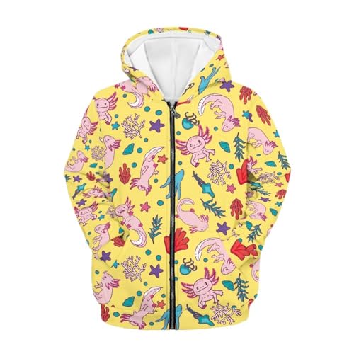 Boys Girls Full Zip Up Hoodie Sweatshirt Lightweight Long Sleeve Pullover Travel Sport Hoodies for Kids Teens