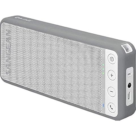Altavoz Bluetooth Sangean BLUTAB BTS-101 transmisible Cover
